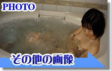 ���̑��̉摜